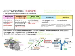 Pectoral Group
(Anterior)
Subscapular Group
(Posterior)
Brachial Group
(Lateral/ Humeral)
Central Group Apical Group
Which lies on the Which lies on Lies on lateral wall of Lies in axillary fat at the Lies at apex of axilla.
pectoralis minor* posterior wall of axilla axilla along 3rd part of base of axilla.
along lateral
thoracic vessels.
*Breast  pectoralis major
Axillary nodes  pectoralis
minor
on lower border of
subscapularis along
subscapular vessels.
axillary vessels. They receive lymph from the pectoral,
subscapular and humeral axillary
lymph node groups.
They receive lymph from the central
axillary lymph nodes, therefore from all
axillary lymph node groups.
All of them will go to: Subclavian lymph trunk: It is formed by union of efferent lymph vessels of apical group.
•On the right side, It usually opens in the subclavian vein (directly).
•On the left side it usually opens into the thoracic duct then into the left subclavian .
Axillary Lymph Nodes Important!
o They are arranged into 5 groups which lie in axillary fat:
Extra Extra
Extra
Before we talk about lymphatic drainage of the breast, lets see
the axillary nodes since most of the breast drains into them.
 