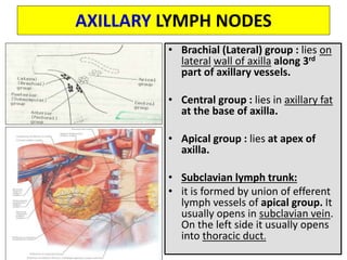 AXILLARY LYMPH NODES
• Brachial (Lateral) group : lies on
lateral wall of axilla along 3rd
part of axillary vessels.
• Central group : lies in axillary fat
at the base of axilla.
• Apical group : lies at apex of
axilla.
• Subclavian lymph trunk:
• it is formed by union of efferent
lymph vessels of apical group. It
usually opens in subclavian vein.
On the left side it usually opens
into thoracic duct.
 