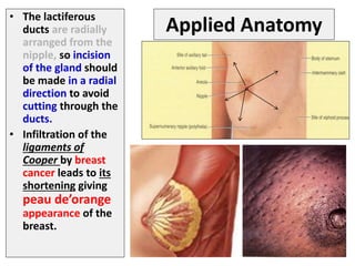 Applied Anatomy
• The lactiferous
ducts are radially
arranged from the
nipple, so incision
of the gland should
be made in a radial
direction to avoid
cutting through the
ducts.
• Infiltration of the
ligaments of
Cooper by breast
cancer leads to its
shortening giving
peau de’orange
appearance of the
breast.
 
