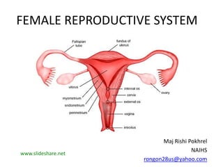 FEMALE REPRODUCTIVE SYSTEM
Maj Rishi Pokhrel
NAIHS
rongon28us@yahoo.com
www.slideshare.net
 