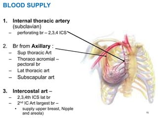 15
BLOOD SUPPLY
1. Internal thoracic artery
(subclavian)
– perforating br – 2,3,4 ICS
2. Br from Axillary :
– Sup thoracic Art
– Thoraco acromial –
pectoral br
– Lat thoracic art
– Subscapular art
3. Intercostal art –
– 2,3,4th ICS lat br
– 2nd IC Art largest br –
• supply upper breast, Nipple
and areola)
 