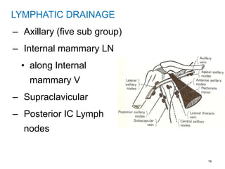 19
LYMPHATIC DRAINAGE
– Axillary (five sub group)
– Internal mammary LN
• along Internal
mammary V
– Supraclavicular
– Posterior IC Lymph
nodes
 