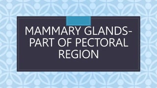 C
MAMMARY GLANDS-
PART OF PECTORAL
REGION
 