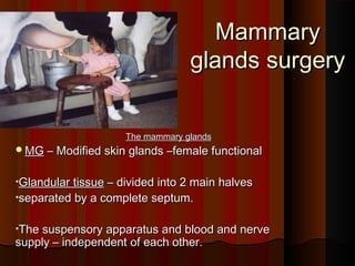 Mammary
                                  glands surgery


                     The mammary glands
MG – Modified skin glands –female functional


•Glandular tissue – divided into 2 main halves
•separated by a complete septum.


•The suspensory apparatus and blood and nerve
supply – independent of each other.
 
