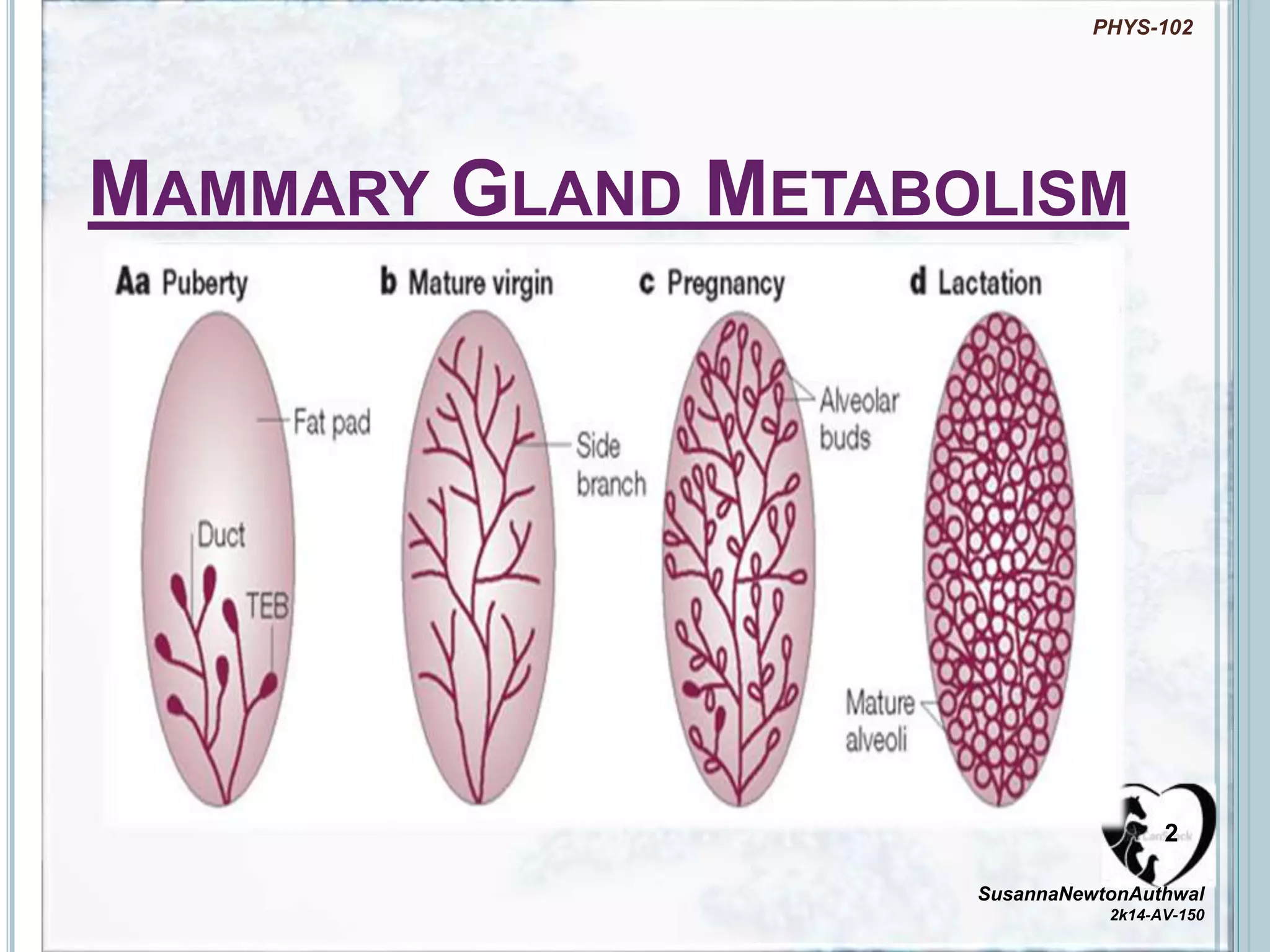 A Metabolic Shift: From Glucose to Fat