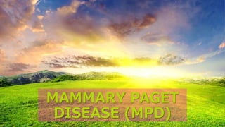 MAMMARY PAGET
DISEASE (MPD)
 