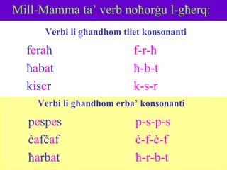 M i l l-Mamma ta’  verb noħorġu l-għerq: f e r a ħ ħ a b a t f-r-ħ ħ-b-t k-s-r Verbi li għandhom tliet konsonanti k i s e r p e sp e s ċ a fċ a f p-s-p-s ċ-f-ċ-f ħ-r-b-t ħ a rb a t Verbi li għandhom erba’ konsonanti 