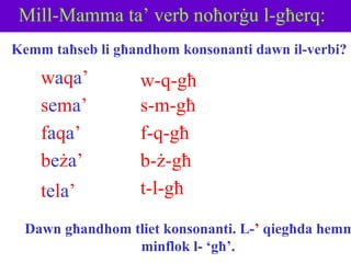 M i l l-Mamma ta’  verb noħorġu l-għerq: w a q a ’ s e m a ’ w-q-għ s-m-għ f-q-għ Kemm taħseb li għandhom konsonanti dawn il-verbi? f a q a ’ b e ż a ’ t e l a ’ b-ż-għ t-l-għ Dawn għandhom tliet konsonanti. L- ’  qiegħda hemm minflok l- ‘għ’.  