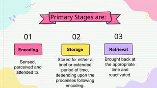 Primary Stages are:
Retrieval
Brought back at
the appropriate
time and
reactivated.
Storage
Stored for either a
brief or extended
period of time,
depending upon the
processes following
encoding.
Encoding
Sensed,
perceived and
attended to.
01 02 03
 