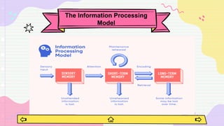 The Information Processing
Model
 