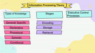 Encoding
Information Processing Theory
General/ Specific
Declarative
Procedural
Episodic
Conditional
Types of Knowledge Stages
Storage
Retrieval
Executive Control
Processes
 