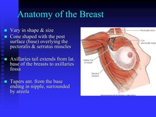 Anatomy of the Breast
 Vary in shape & size
 Cone shaped with the post
surface (base) overlying the
pectoralis & serratus muscles
 Axillaries tail extends from lat.
base of the breasts to axillaries
fossa
 Tapers ant. from the base
ending in nipple, surrounded
by areola
 
