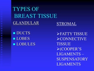 TYPES OF
BREAST TISSUE
GLANDULAR
 DUCTS
 LOBES
 LOBULES
STROMAL
FATTY TISSUE
CONNECTIVE
TISSUE
(COOPER’S
LIGAMENTS –
SUSPENSATORY
LIGAMENTS
 