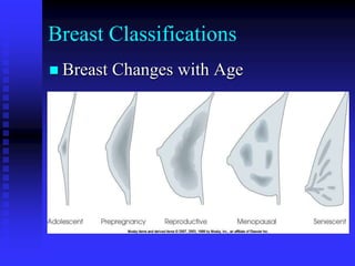 Breast Classifications
 Breast Changes with Age
 