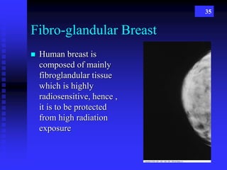 35
Fibro-glandular Breast
 Human breast is
composed of mainly
fibroglandular tissue
which is highly
radiosensitive, hence ,
it is to be protected
from high radiation
exposure
 