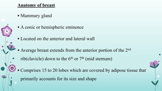 Anatomy of breast
 Mammary gland
 A conic or hemispheric eminence
 Located on the anterior and lateral wall
 Average breast extends from the anterior portion of the 2nd
rib(clavicle) down to the 6th or 7th (mid sternum)
 Comprises 15 to 20 lobes which are covered by adipose tissue that
primarily accounts for its size and shape
7
 