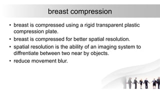 mammography 