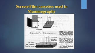Screen-Film cassettes used in
Mammography
 