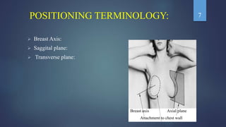 POSITIONING TERMINOLOGY:
 Breast Axis:
 Saggital plane:
 Transverse plane:
Breast axis Axial plane
Attachment to chest wall
7
 