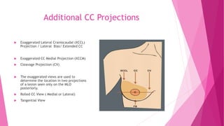 Xcc Positioning Mammography positioning technique for Cranio Caudal (CC) | PPTX