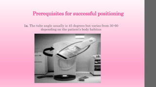 Prerequisites for successful positioning
1a. The tube angle usually is 45 degrees but varies from 30-60
depending on the patient’s body habitus
 