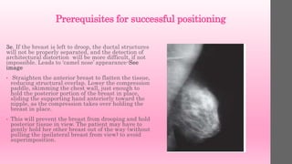 Prerequisites for successful positioning
3e. If the breast is left to droop, the ductal structures
will not be properly separated, and the detection of
architectural distortion will be more difficult, if not
impossible. Leads to ‘camel nose’ appearance-See
image
• Straighten the anterior breast to flatten the tissue,
reducing structural overlap. Lower the compression
paddle, skimming the chest wall, just enough to
hold the posterior portion of the breast in place,
sliding the supporting hand anteriorly toward the
nipple, as the compression takes over holding the
breast in place.
• This will prevent the breast from drooping and hold
posterior tissue in view. The patient may have to
gently hold her other breast out of the way (without
pulling the ipsilateral breast from view) to avoid
superimposition.
 