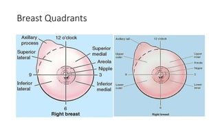 Mammography | PPTX