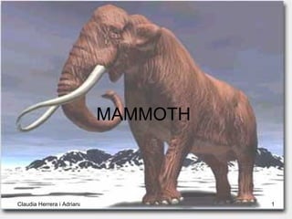 MAMMOTH  