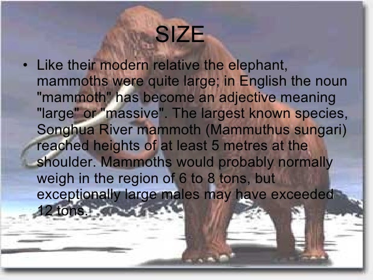 Mammoth