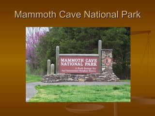 Mammoth Cave National Park 