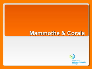 Mammoths & CoralsMammoths & Corals
 