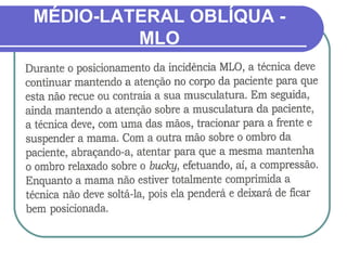 MÉDIO-LATERAL OBLÍQUA -
         MLO
 