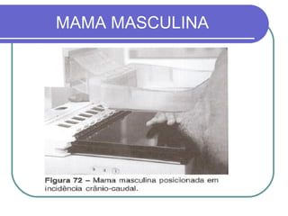 MAMA MASCULINA
 