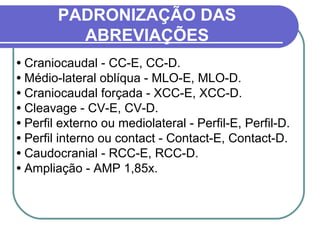 PADRONIZAÇÃO DAS
          ABREVIAÇÕES
• Craniocaudal - CC-E, CC-D.
• Médio-lateral oblíqua - MLO-E, MLO-D.
• Craniocaudal forçada - XCC-E, XCC-D.
• Cleavage - CV-E, CV-D.
• Perfil externo ou mediolateral - Perfil-E, Perfil-D.
• Perfil interno ou contact - Contact-E, Contact-D.
• Caudocranial - RCC-E, RCC-D.
• Ampliação - AMP 1,85x.
 