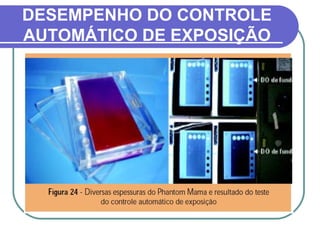 DESEMPENHO DO CONTROLE
AUTOMÁTICO DE EXPOSIÇÃO
 