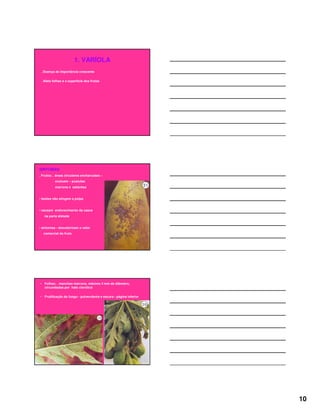 10
1. VARÍOLA
. Doença de importância crescente
. Afeta folhas e a superfície dos frutos
SINTOMAS
. Frutos: . áreas circulares encharcadas –
evoluem – pústulas
marrons e salientes
• lesões não atingem a polpa
• causam endurecimento da casca
na parte afetada
• sintomas - desvalorizam o valor
comercial do fruto
• Folhas: . manchas marrons, máximo 4 mm de diâmetro,
circundadas por halo clorótico
• Frutificação do fungo - pulverulenta e escura - página inferior
 