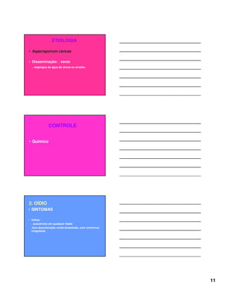 11
ETIOLOGIA
• Asperisporium caricae
• Disseminação: . vento
. respingos de água de chuva ou orvalho
CONTROLE
• Químico
2. OÍDIO
• SINTOMAS
• folhas:
. suscetíveis em qualquer idade
. leve descoloração verde-amarelada, com contornos
irregulares
 