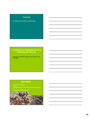 14
Controle
• O mesmo da varíola e antracnose
3. GOMOSE OU PODRIDÃO DO PÉ E
PODRIDÃO DE FRUTOS
• Ocorrência: períodos chuvosos e em solos com má
drenagem
SINTOMAS
• Tombamento de plântulas
• raízes:
. suscetíveis durante os 3 primeiros meses após a emergência
. sintomas secundários na parte aérea
 