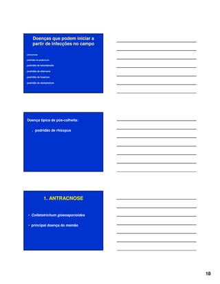 18
Doenças que podem iniciar a
partir de infecções no campo
. antracnose
. podridão do pedúnculo
. podridão de lasiodiplodia
. podridão de alternaria
. podridão de fusarium
. podridão de stemphylium
Doença típica de pós-colheita:
. podridão de rhizopus
1. ANTRACNOSE
• Colletotrichum gloeosporioides
• principal doença do mamão
 