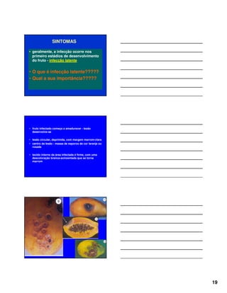 19
SINTOMAS
• geralmente, a infecção ocorre nos
primeiro estádios de desenvolvimento
do fruto - infecção latente
• O que é infecção latente?????
• Qual a sua importância?????
• fruto infectado começa a amadurecer - lesão
desenvolve-se
• lesão circular, deprimida, com margem marrom-clara
• centro da lesão - massa de esporos de cor laranja ou
rosada
• tecido interno da área infectada é firme, com uma
descoloração branca-acinzentada que se torna
marrom
 