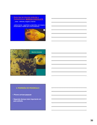 20
• Outro tipo de infecção atribuída a
Colletotrichum: MANCHA CHOCOLATE
. início - diminuta, irregular e marrom
. pode se tornar - superficial ou deprimida, com margens
encharcadas à medida que o fruto amadurece
Mancha chocolate
2. PODRIDÃO DO PEDÚNCULO
• Phoma caricae-papayae
• Segunda doença mais importante em
pós-colheita
 