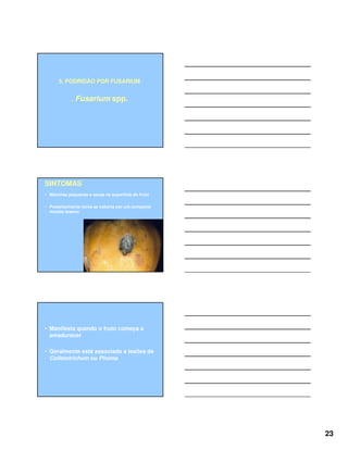23
5. PODRIDÃO POR FUSARIUM
. Fusarium spp.
SINTOMAS
• Manchas pequenas e secas na superfície do fruto
• Posteriormente torna-se coberta por um compacto
micélio branco
• Manifesta quando o fruto começa a
amadurecer
• Geralmente está associado a lesões de
Colletotrichum ou Phoma
 