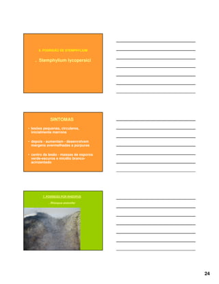 24
6. PODRIDÃO DE STEMPHYLIUM
. Stemphylium lycopersici
SINTOMAS
• lesões pequenas, circulares,
inicialmente marrons
• depois - aumentam - desenvolvem
margens avermelhadas a púrpuras
• centro da lesão - massas de esporos
verde-escuros e micélio branco-
acinzentado
7. PODRIDÃO POR RHIZOPUS
. Rhizopus stolonifer
 