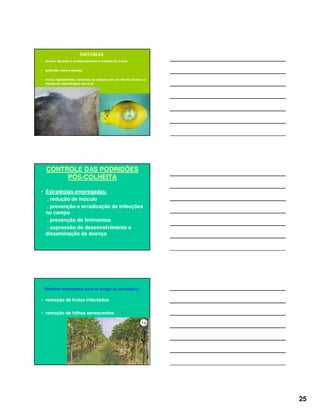 25
SINTOMAS
• ocorre durante o armazenamento e trânsito de frutos
• podridão mole e aquosa
• evolui rapidamente, tornando-se coberta por um micélio branco e
massa de esporângios escuros
CONTROLE DAS PODRIDÕES
PÓS-COLHEITA
• Estratégias empregadas:
. redução de inóculo
. prevenção e erradicação de infecções
no campo
. prevenção de ferimentos
. supressão do desenvolvimento e
disseminação da doença
Medidas empregadas para se atingir as estratégias:
• remoção de frutos infectados
• remoção de folhas senescentes
 