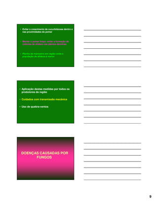 9
• Evitar o crescimento de cucurbitáceas dentro e
nas proximidades do pomar
• Manter o pomar limpo: evitar a formação de
colônias de afídeos nas plantas daninhas
• Plantio de mamoeiro em região onde a
população de afídeos é menor
• Aplicação destas medidas por todos os
produtores da região
• Cuidados com transmissão mecânica
• Uso de quebra-ventos
DOENÇAS CAUSADAS POR
FUNGOS
 