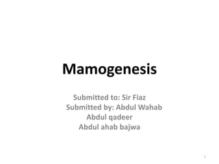 Mamogenesis
Submitted to: Sir Fiaz
Submitted by: Abdul Wahab
Abdul qadeer
Abdul ahab bajwa
1
 