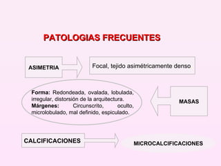 ASIMETRIA Focal, tejido asimétricamente denso . MASAS Forma:  Redondeada, ovalada, lobulada, irregular, distorsión de la arquitectura. Márgenes:  Circunscrito, oculto, microlobulado, mal definido, espiculado. CALCIFICACIONES MICROCALCIFICACIONES PATOLOGIAS FRECUENTES 
