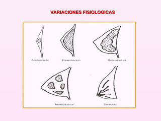 VARIACIONES FISIOLOGICAS  