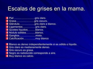 Escalas de grises en la mama. Piel ……………………gris claro. Grasa…………………gris oscuro. Glándula……………...gris claro a blanco. Ligamentos……………gris claro. Quístes líquidos………blanco. Nódulo sólidos………..blanco. Ganglios……………….mixto. Calcificación…………..muy blanco Blanco es denso independientemente si es sólido o líquido. Gris claro es medianamente denso. Gris oscuro es grasa. Negro es radiolúcido corresponde a aire. Muy blanco es calcio. 