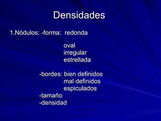 Densidades  1.Nódulos: -forma:  redonda  oval irregular estrellada  -bordes: bien definidos mal definidos espiculados -tamaño  -densidad 